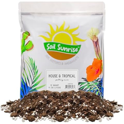 Soil Sunrise thumbnail