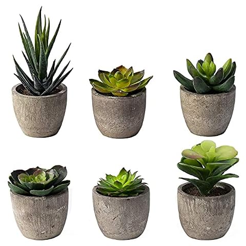 Sophia's Garden thumbnail