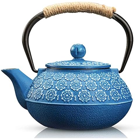 10 Best Japanese Kettles for Brewing Delicious Hot Drinks Every Time! –  Japanese Taste