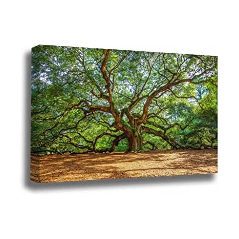 Southern Plains Photography thumbnail