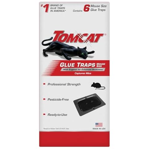 Spider Pest Control Traps