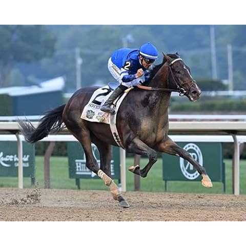 SPORTSPHOTOSUSA thumbnail