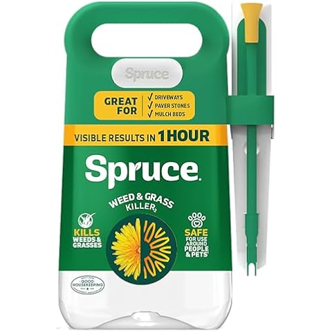 Spruce thumbnail