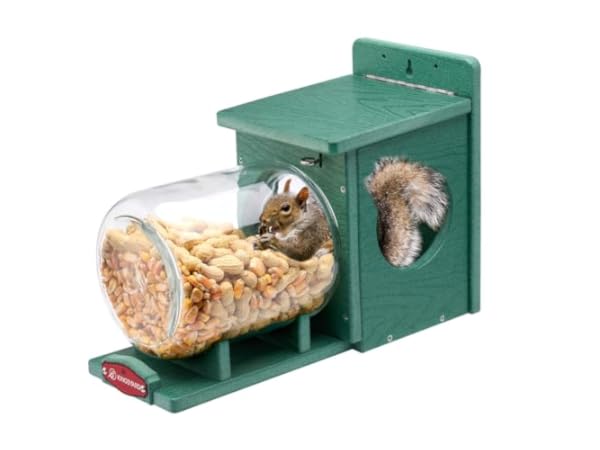 Squirrel Feeders Thumbnail