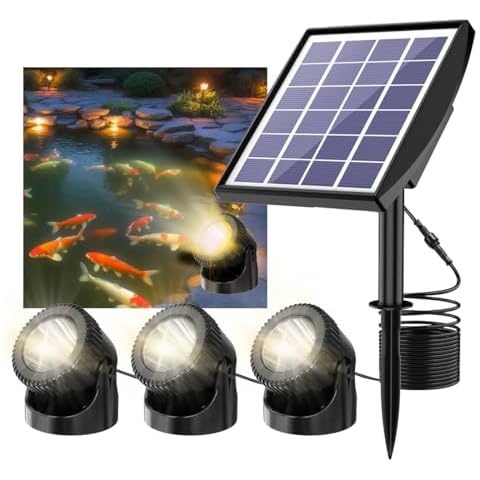 Srygery feature image