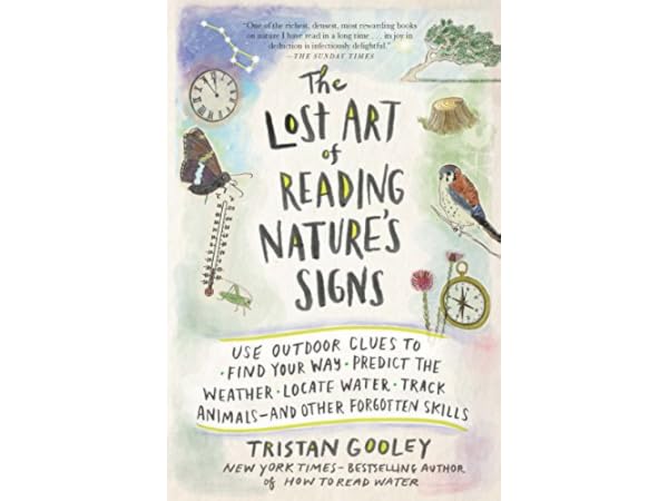 Star-Gazing Books Thumbnail