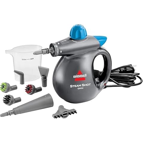 Steam Cleaners for Car Detailing