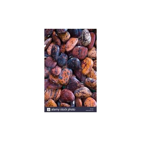 Stonysoil Seed Company thumbnail