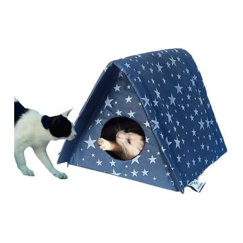 Stray2Pet thumbnail