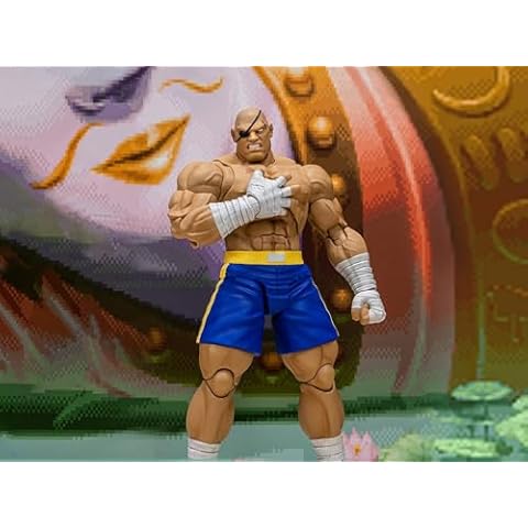 Street Fighter Action Figures