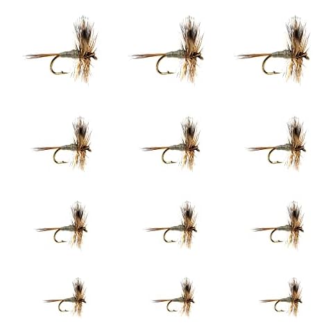 Superbe Flies thumbnail