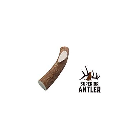 Superior Antler Dog Chews thumbnail