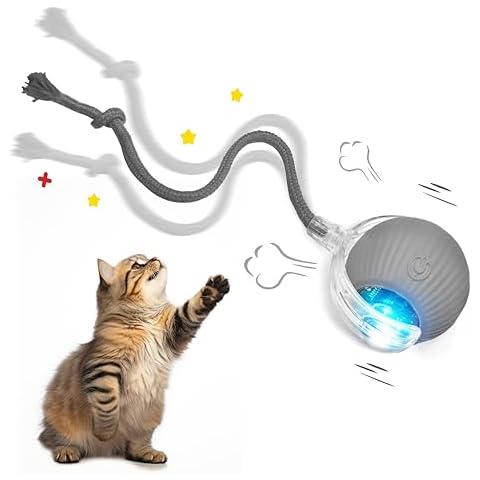 Suphiongs thumbnail