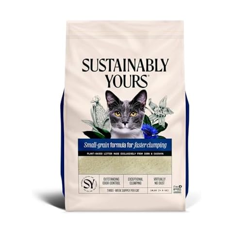 Sustainably Yours thumbnail