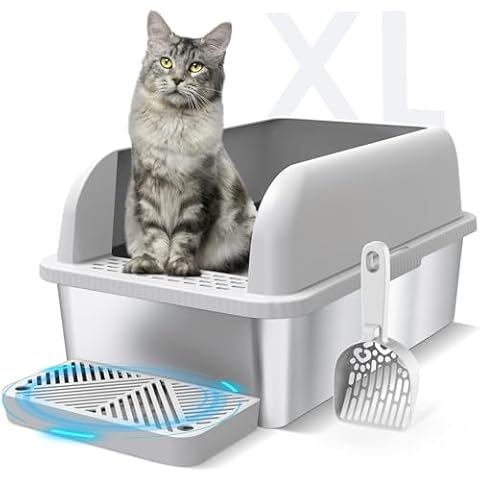 Suzzipaws feature image