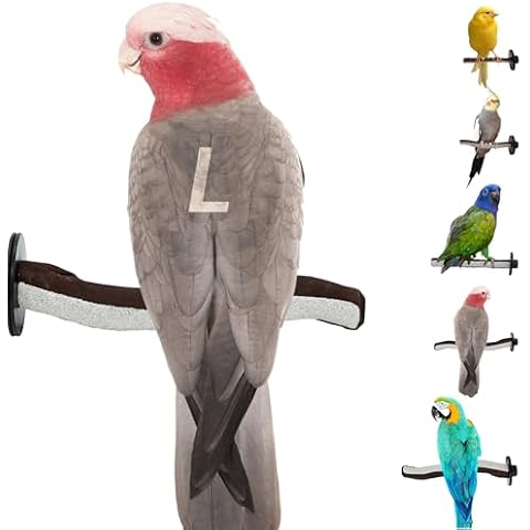 Sweet Feet And Beak thumbnail