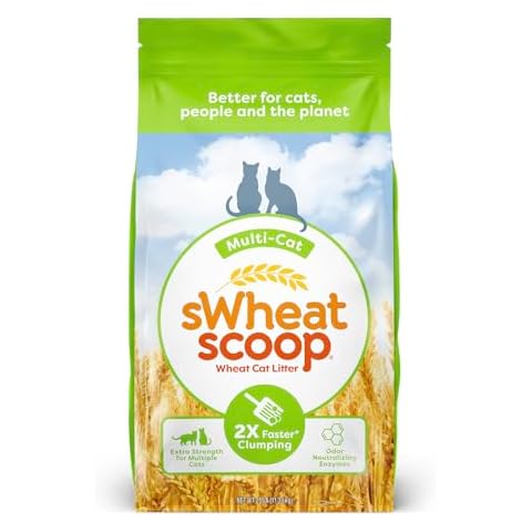 sWheat Scoop thumbnail