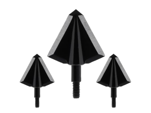 Table Tennis Blades Thumbnail