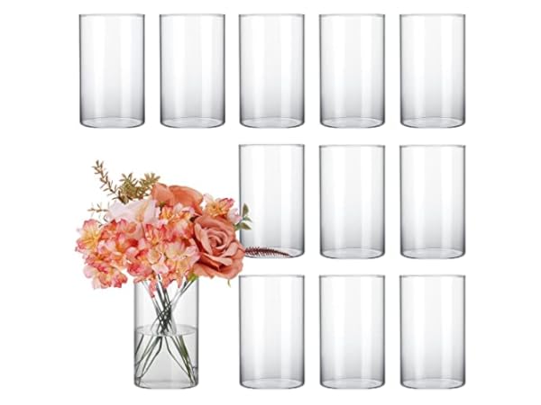 The 10 Best Table Vases Of 2024 Reviews FindThisBest   41jSDv CvAL.  CR0,0,600,450 