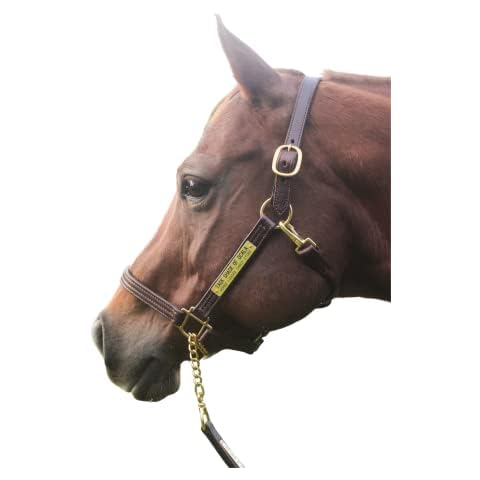 Tack Shack Of Ocala thumbnail