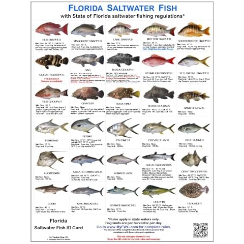 Tackle Box I.D. thumbnail