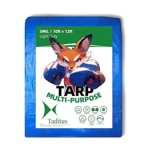 Taditus thumbnail