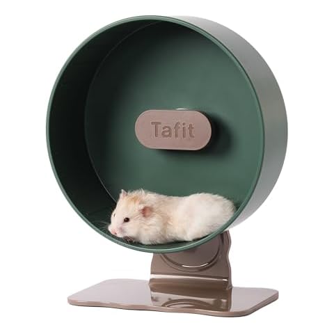 Tafit thumbnail