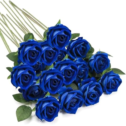 TBUY ROSE thumbnail