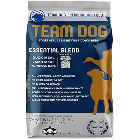 Team Dog thumbnail