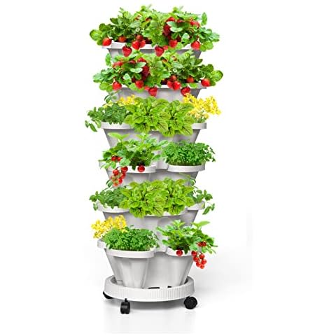 https://us.ftbpic.com/product-amz/tectsia-strawberry-vertical-planters-6-tiered-stacking-tower-garden-stackable/41YX5i74N-L._AC_SR480,480_.jpg