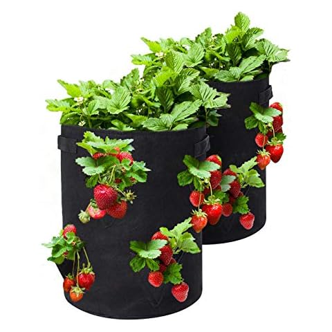 15 X 9 Inch Strawberry Grow Bags With 8 Grow Holes Hanging Planter Box Vegetable  Grow Bag Breathable Vegetable Flower Growing Bag With Handles