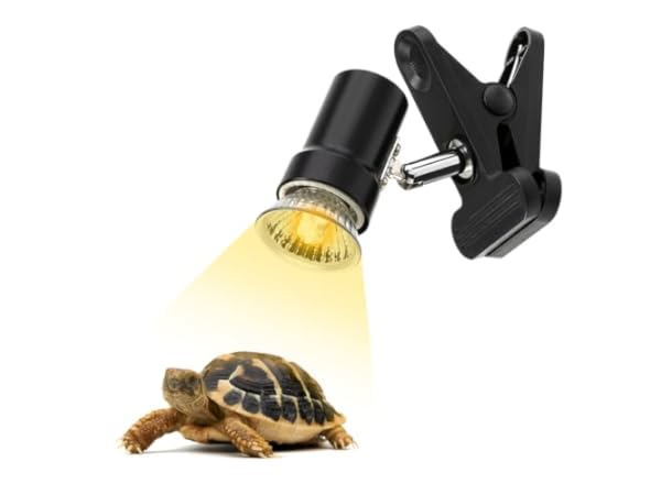 Terrarium Heat Lamps Thumbnail