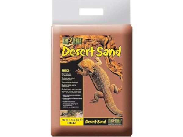 Terrarium Sand Thumbnail