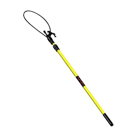 The Boat Loop feature image