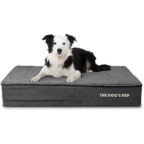 The Dog's Balls thumbnail
