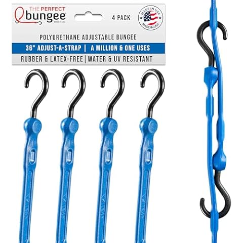 THE PERFECT BUNGEE thumbnail