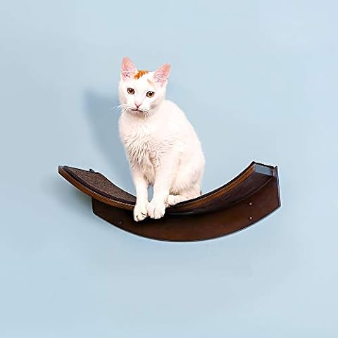 THE REFINED FELINE thumbnail