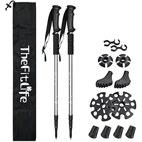 TheFitLife thumbnail
