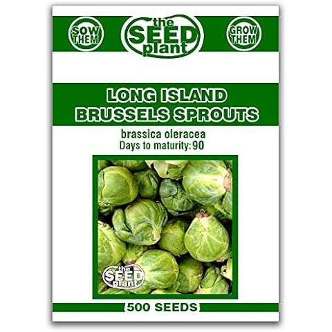 TheSeedPlant thumbnail