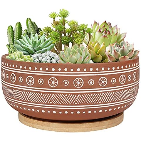 Thirtypot thumbnail