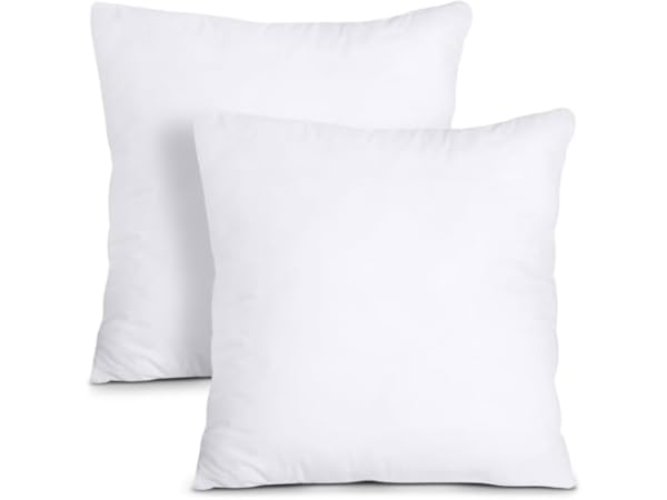 Throw Pillow Inserts Thumbnail