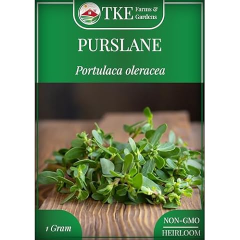 TKE FARMS & GARDENS thumbnail