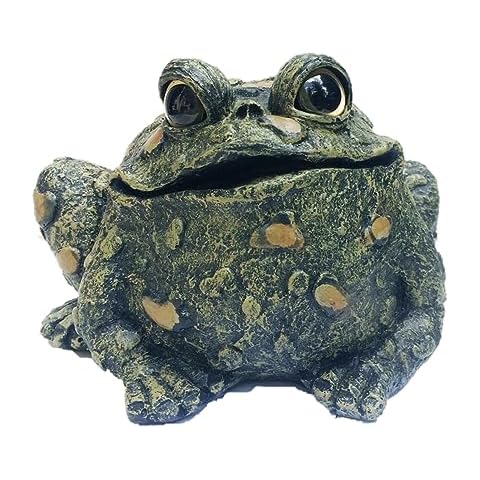 Toad Hollow thumbnail