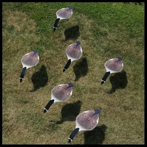 Top Down Decoys thumbnail