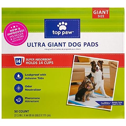 TOP PAW thumbnail