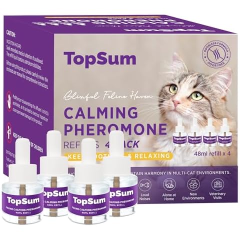 TopSum thumbnail