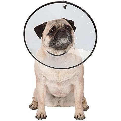 Total Pet Health thumbnail