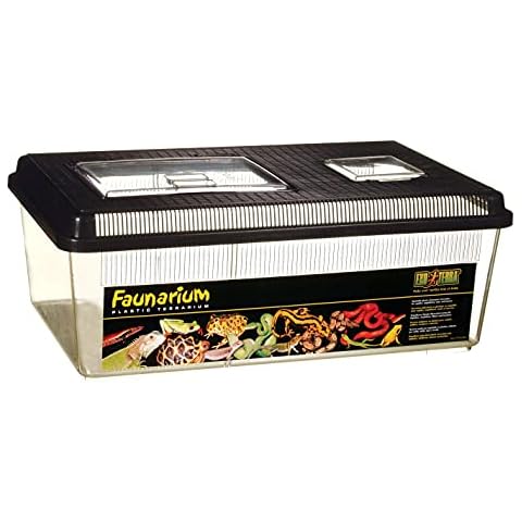 Transparent Reptile Terrariums