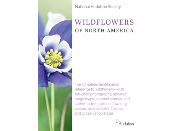 Tree Field Guides Thumbnail