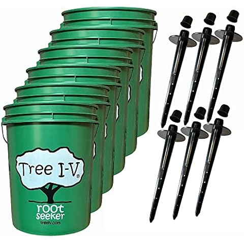Tree I.V. thumbnail